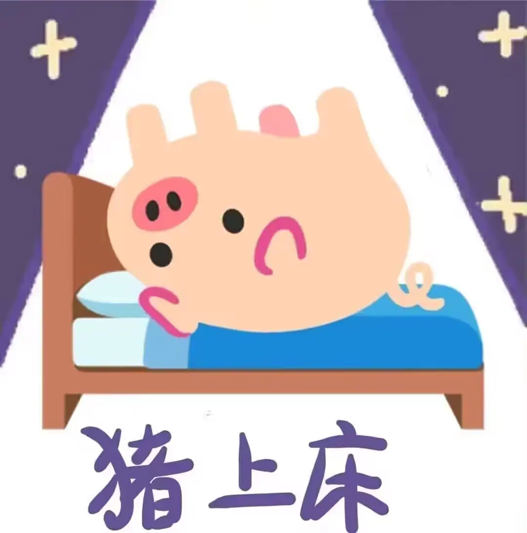 Pig
